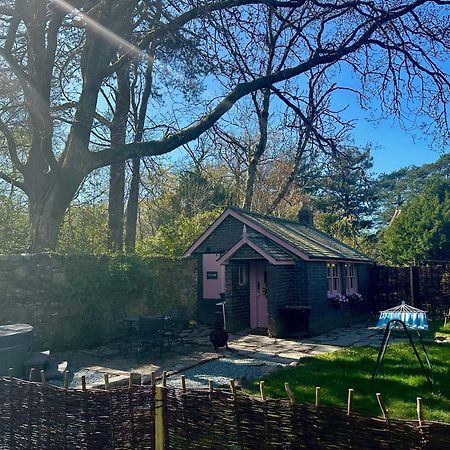 Tiny Romantic Retreat With Hot Tub On A Country Estate Near Cardigan Bay In Eryri Snowdonia スランベドル エクステリア 写真
