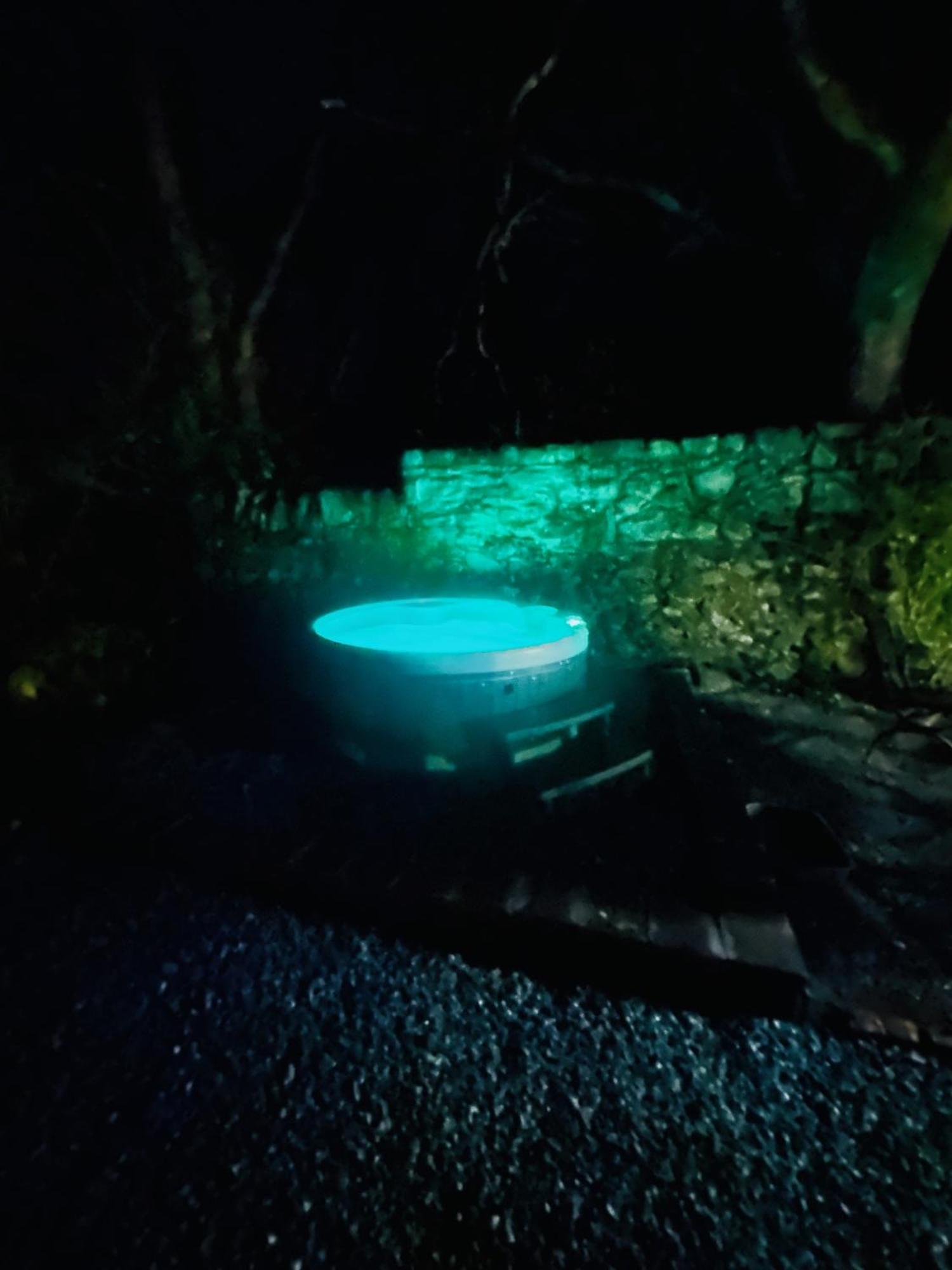Tiny Romantic Retreat With Hot Tub On A Country Estate Near Cardigan Bay In Eryri Snowdonia スランベドル エクステリア 写真