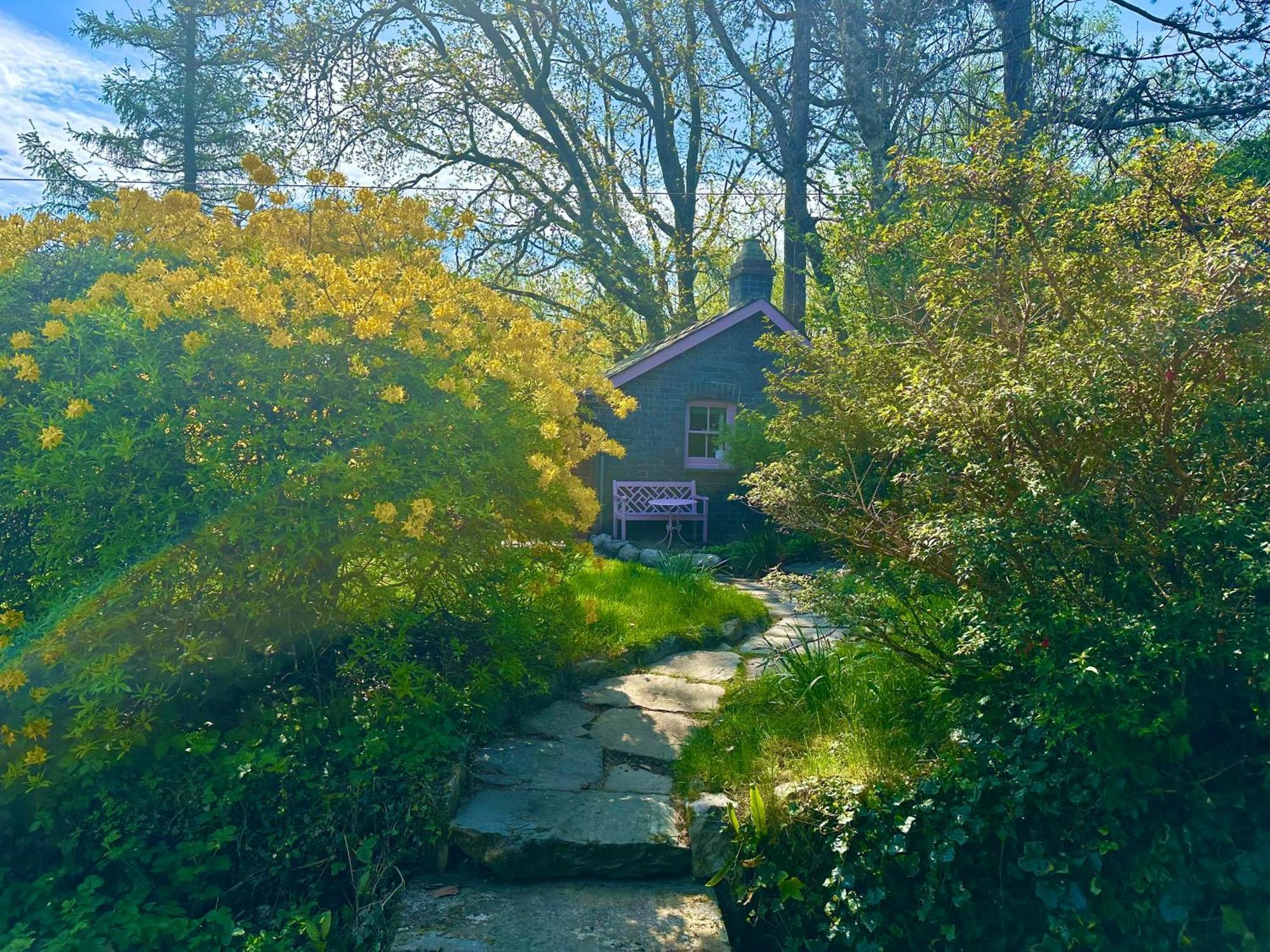 Tiny Romantic Retreat With Hot Tub On A Country Estate Near Cardigan Bay In Eryri Snowdonia スランベドル エクステリア 写真